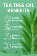 Tea Tree Pure Essential Oil